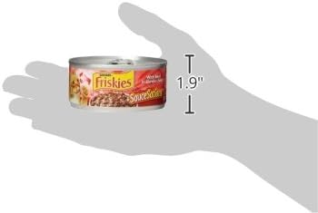 Friskies Purina Extra Gravy Wet Cat Food Chunky with Beef in Savory Gravy - 5.5 oz. Cans,(Pack of 48)