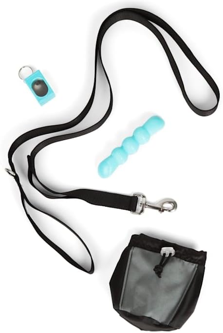 EveryYay by Petco Dog Training Set