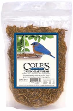 Mealworm Wild Bird Dried 3.5oz