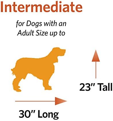 MidWest Homes for Pets Intermediate Ovation Double Door 36-inch Folding Metal Dog Crate, Front and Up & Away Side Doors, Space-Saving Design