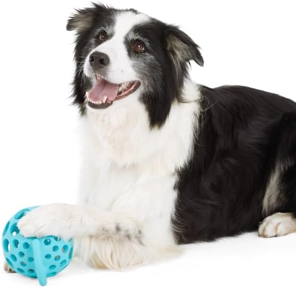 Leaps & Bounds by Petco Cage Ball with Handle Dog Toy Large