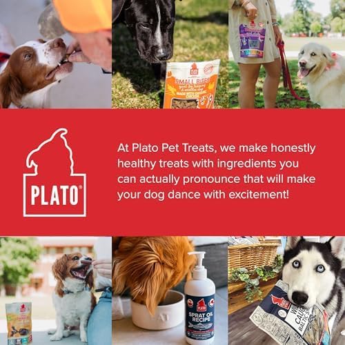 PLATO Pet Treats Thinkers - Meat Stick Treats for Dogs - Limited Ingredient Dog Treats with EPA and DHA to Support Skin, Coat, and Brain - Air-Dried Dog Treats - Thinkers Lamb 10oz - 2 Pack