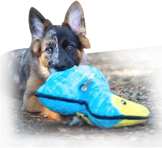 Zippy Paws - Z-Stitch Grunterz Durable Stuffed Squeaky Dog Toy - Dodo the Dodo Bird