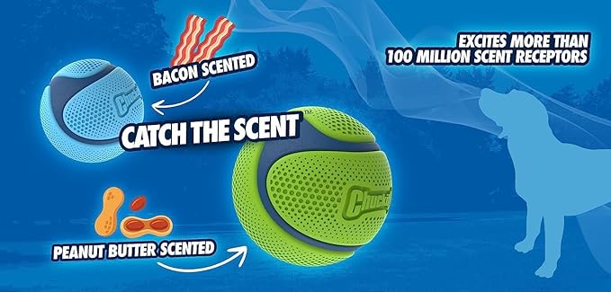 Chuckit! Sniff Ball Dog Toy, Durable High Bounce Bacon Scented Rubber Dog Ball Fetch Toy, Medium, 1 Pack