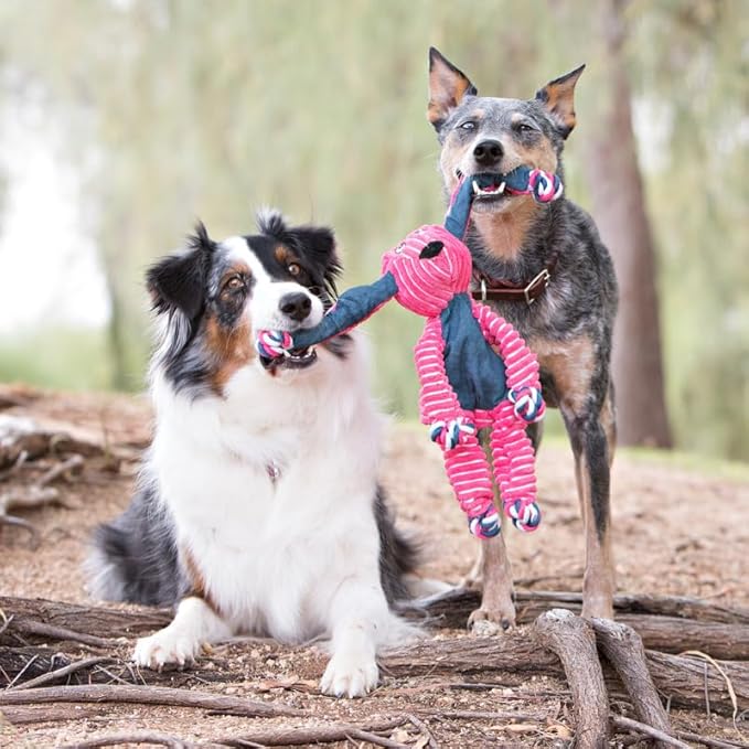 KONG Floppy Knots Combo Dog Toy - Fox and Bunny Bundle - Interal Knotted Rope with Squeakers and Less Stuffing - Medium/Large