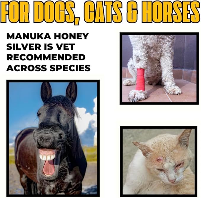 Well-Being Manuka Honey Silver Rapid Wound Repair Ointment For Dogs, Cats and Horses Superior Healing Qualities For Rapid Repair Of Cuts, Surgical Inscisions, Abrasions Prevents Infection 2 Ounce