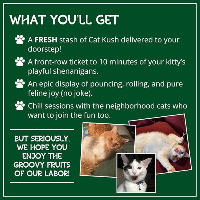 Organic Catnip, Safe Premium Blend Perfect for Cats, Instilled with Maximized Potency your Kitty is Sure to Go Crazy for (4 Cups)