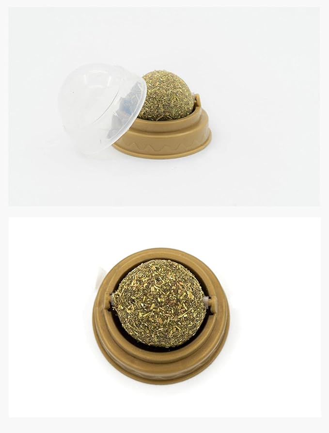 Snacks Catnip Ball Treats Solid