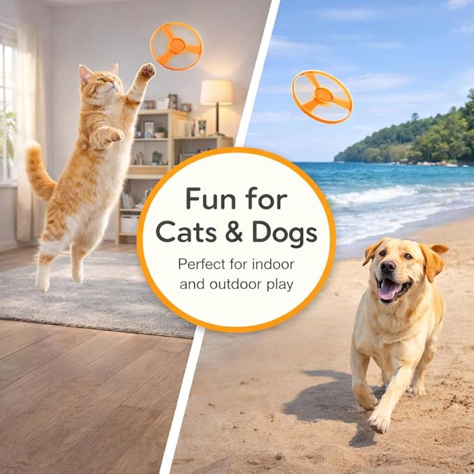 Cat Fetch Toy, Rechargeable Flying Disc Launcher Toy with 6 Flying Discs, Interactive Cat Toy for Indoor Cats, Cat Chase Toy for Bored Indoor Cats, Kittens & Adult Cats
