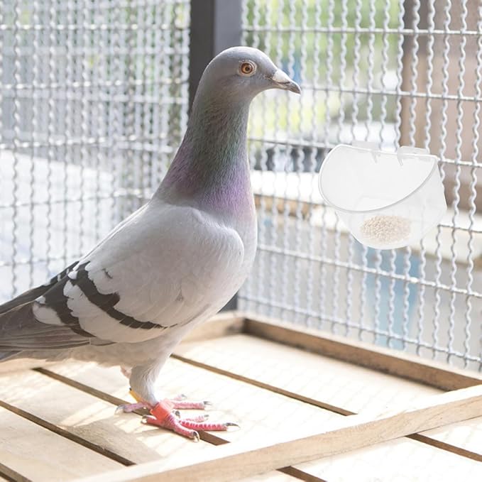 Toyvian 8pcs Hanging Pigeon Feeding Bowls Plastic Bird Cage Cups Water Bowls Large for Pigeon Bird Rabbit Cage Use