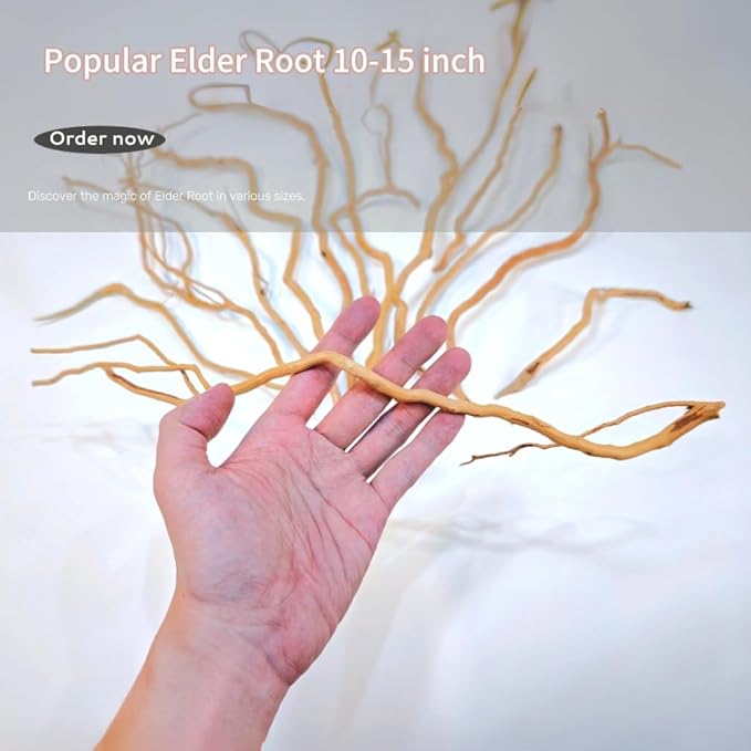 Azil Natural Aquarium Driftwood Root β Driftwood for Aquarium Decor, 170g~0.38lb (14β³β16β³), Fish Tanks, Terrariums, Aquascaping & Planted Tanks