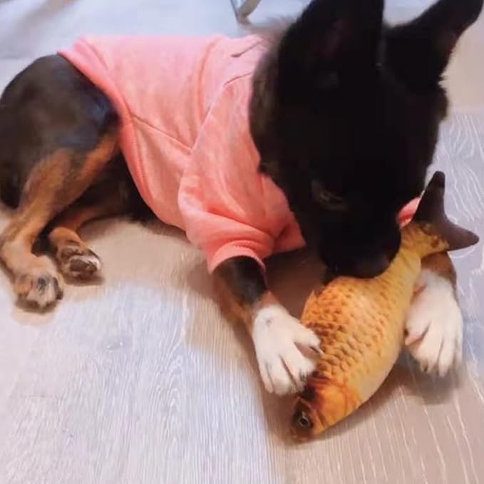 VAIZIQ Realistic Flopping Fish Dog Chew Toy - Electric Moving Interactive Pet Toy for Small Medium Dogs, Chew Rocking Toy for Indoor Outdoor Exercise