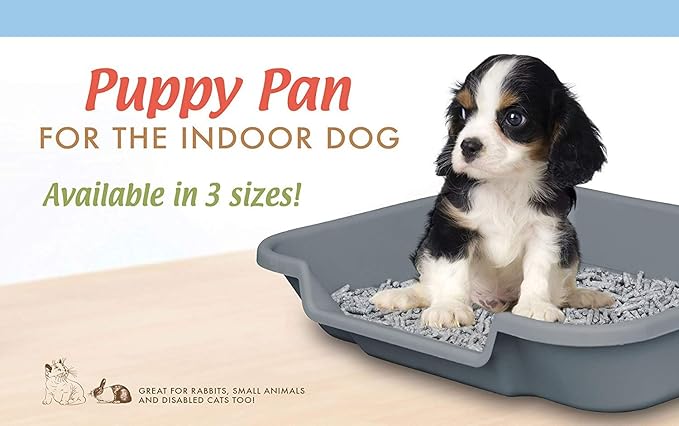 Dog Litter Pan by PuppyGoHere (Black, 20" x 15" x 5") Suitable for Dogs up to 6 lbs.