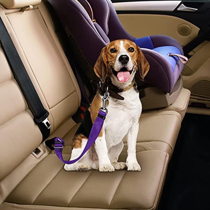 4 Pack Cat Dog Pet Safety Seat Belt Adjustable Clip for Car SUVS Vehicle Harness Lead Leash Seat Tether, (Nylon Fabric- Black, Blue, Red, Purple) (Purple)