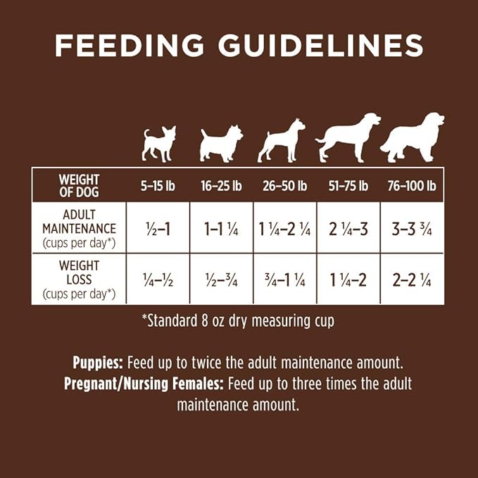 Instinct Original Dry Dog Food, Raw Coated Kibble, High Protein, Grain Free Recipe - Real Salmon, 20 lb. Bag
