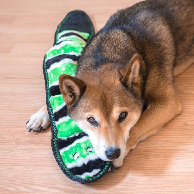 ZippyPaws - Z-Stitch Snake, Extra Tough No Stuffing Dog Toy with Squeaker - Green, Medium