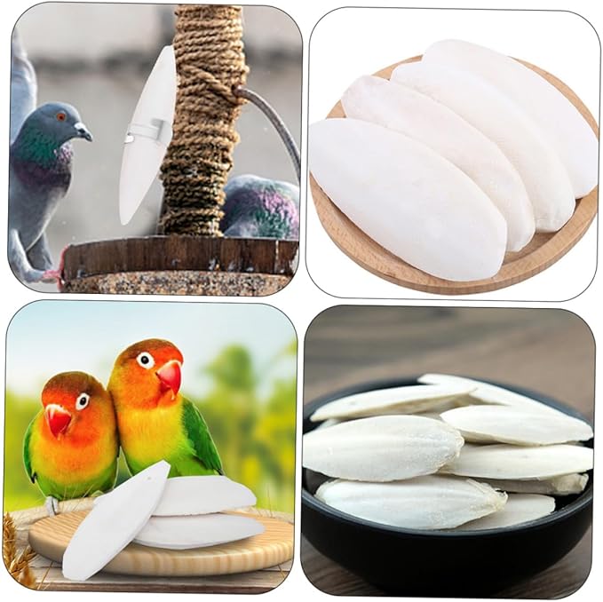 GANAZONO 12sets Hamster Chew Toys Cuttlebone Holder Bird Cage Accessories Pet Toys for Molars Calcium