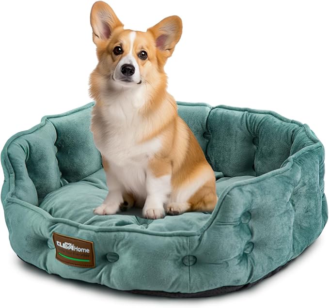 ClevaHome Cat Dog Bed for Small Pets up to 15lbs - Round Cat Beds for Indoor Cats, Machine Washable Comfortable Pet Bed for Puppy and Kitten with Non-Slip Bottom (Washed Green)