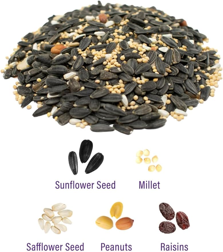 REOT Supreme Blend Wild Bird Food, 3 lb Bag – Premium Seed Mix for Year-Round Backyard Feeding