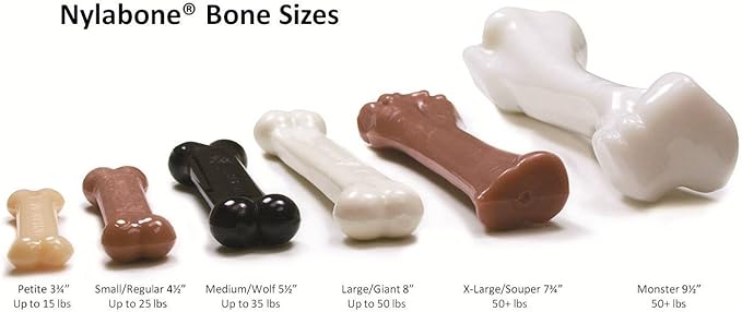 (10 Pack) Nylabone FlexiChew Chicken Flavored Bone Dog Chew Toy - Size Regular