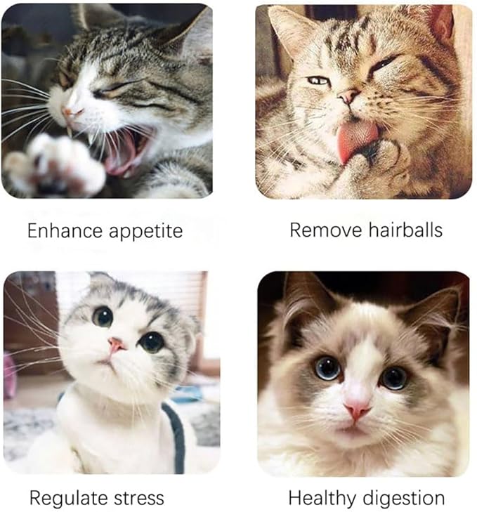Premium Natural Catnip for Cats, Fun Feline Playtime Treat (260ML)