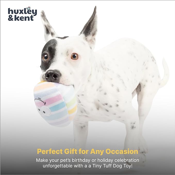 Huxley & Kent Funny Dog Toy w/Squeaker – Power Plush Squeaky Dog Toys for Small Dogs – Durable Small Stuffed Animal for Indoor Play & Fetch - Tiny Tuff Squeaky Eggs, 2pk