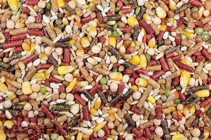Chicken Feed, Whole Ingredient Chicken Treat, Wied Variety of Grains Poultry Feed (5 Pound (Pack of 1), High-Octain (High Protein))