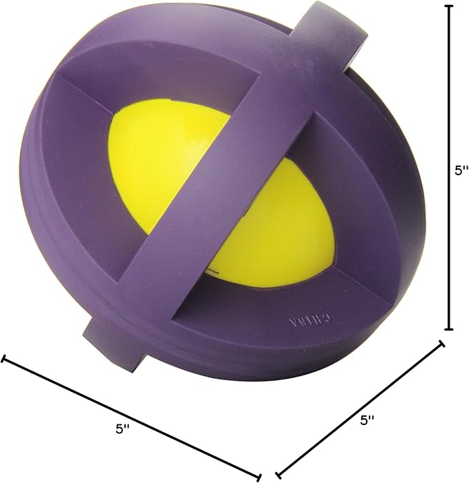 Multipet's 5-Inch Boingo Ball
