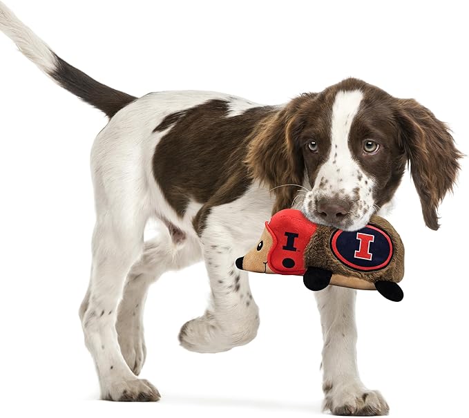 NCAA Illinois Fighting Illini Plush Hedgehog Toy for Dogs & Cats, Cool Soft Pet Toy for Fun and Interactive Play, Dog Chew Toy with Squeaker, Licensed Hot Pet Toy