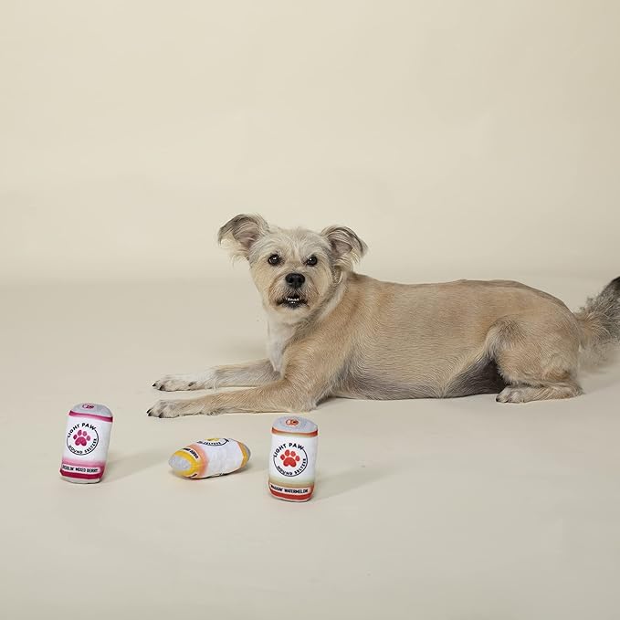 Fringe Studio Plush Dog Toy Set, Light PAW CANS, 3 Piece Set, for Small Dogs (289557) (Pack of 2)