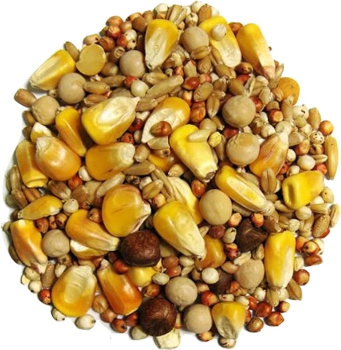 Breeder Popcorn Pigeon Food