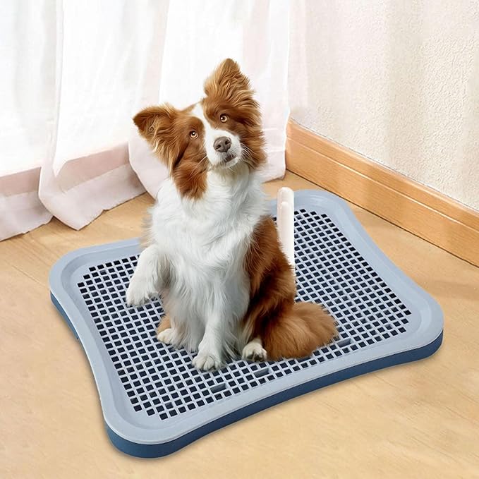 Pet Cat Training Toilet Tray Potty Easy to Clean Litter Bedding Box Urinal Dog Potty Tray Pee Pad for Small Animals Pets Accessories, Cyan