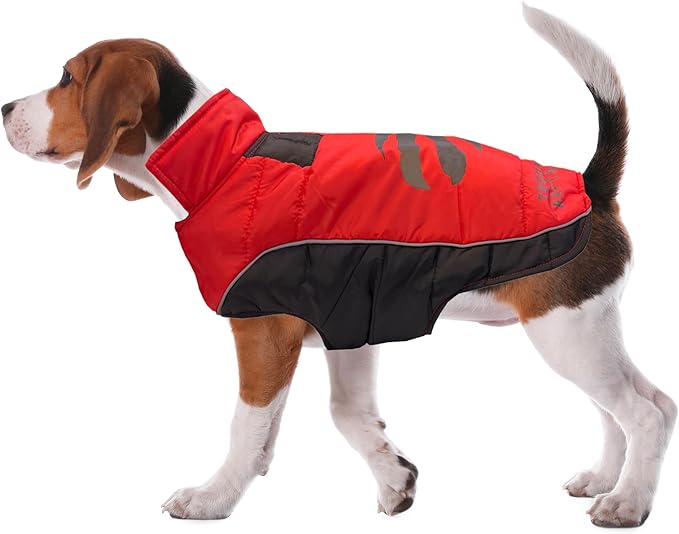 NBA Toronto Raptors Puffer Vest for Dogs & Cats, Size Large. Warm, Cozy, and Waterproof Dog Coat, for Small and Large Dogs/Cats. Best NBA Licensed PET Warming Sports Jacket