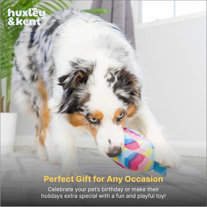 Huxley & Kent Funny Dog Toy w/Squeaker – Power Plush Squeaky Dog Toys for Small, Medium & Large Dogs – Soft Stuffed Animal for Indoor Play & Fetch - I'm Sweet Lollipop, Small