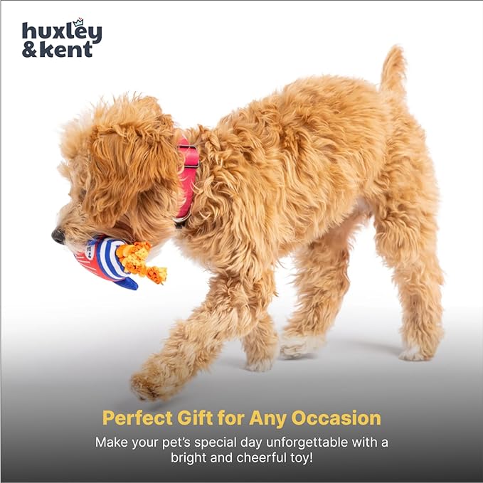 Huxley & Kent Funny Dog Toy w/Squeaker – Power Plush Squeaky Dog Toys for Small Dogs – Durable Small Stuffed Animal for Indoor Play & Fetch - Tiny Tuff Rocket Man