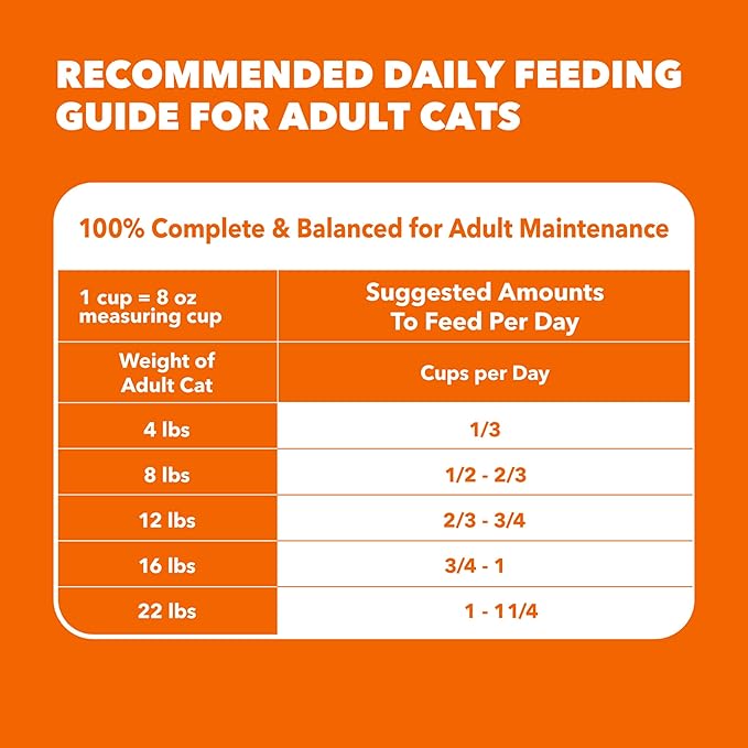 IAMS Proactive Health Dry Cat Food Hairball Care, Adult Cat Food, with Real Chicken and Salmon, 3.5 lb. Bag