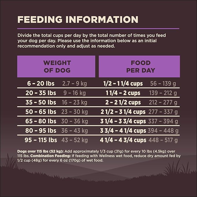 Wellness CORE Age Advantage Senior Dry Dog Food, Grain Free Kibble, Natural, High Protein, Turkey and Chicken Recipe, 4 lb Bag