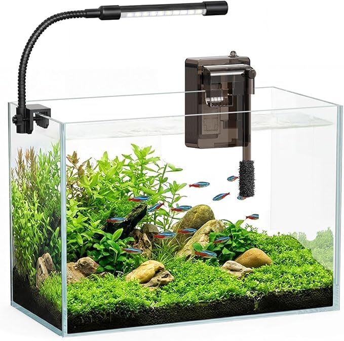 Glass Fish Tank Kit, 3 Gallon Betta Fish Tank Aquarium Starter Kit with Filter, Lights, Lid, for Betta, Goldfish, Small Fish or shrimg,Clear