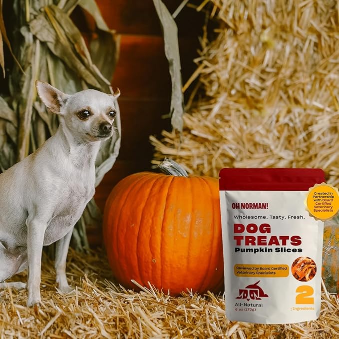OH NORMAN! Two-Ingredient Pumpkin Dog Treats by Kaley Cuoco, Healthy Dog Treats for All Life Stages and Breeds, Air Dried, Ethically Sourced in Canada, 6 Oz