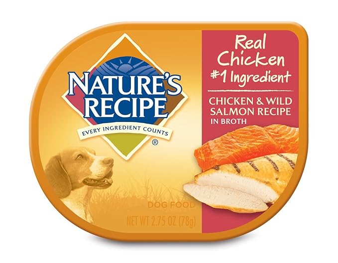 Nature's Recipe Chicken & Wild Salmon Recipe in Broth Wet Dog Food, 2.75 oz