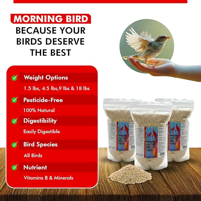 Morning Bird White Proso Millet 4.5 lbs (3-Pack, 1.5 lbs Each) Unhulled Natural Bird Seed – Supports Feather Growth & Balanced Nutrition – High Energy Seed - Ideal for Finches, Parakeets & Pet Birds