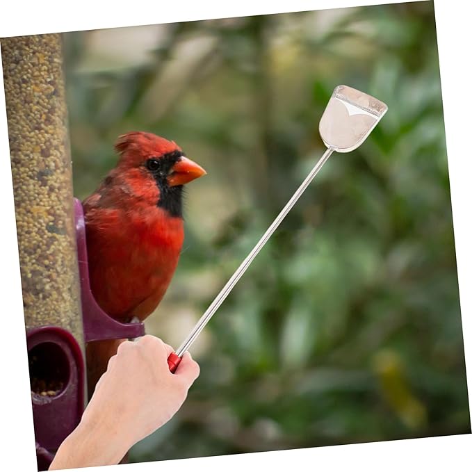 Toyvian 2pcs High Efficiency Bird Cage Cleaning Brush Pet Bird Supplies Small Animal Cage Cleaner Easy to Use