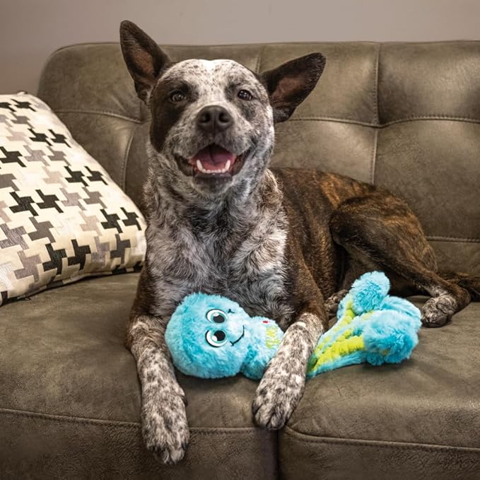 KONG Wubba Octopus Tug and Fetch Squeak Dog Toy Assorted Colors (Small)