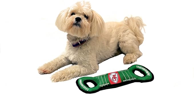 NFL Football Field DOG TOY with Squeaker. - KANSAS CITY CHIEFS - For Tug, Toss, and Fetch. - Tough & Durable PET TOY