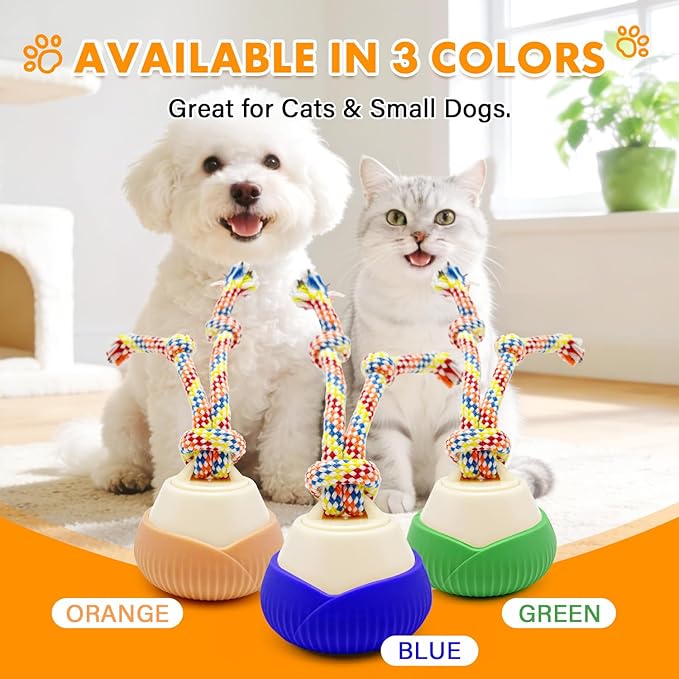Interactive Cat Toy, 360° Rotating Automatic Moving cat Toys, Voice Recordable Auto Rolling Pet Toy with LED Sound & Music, Rechargeable Interactive Cat Toys for Indoor Cats & Small Dogs (Green)