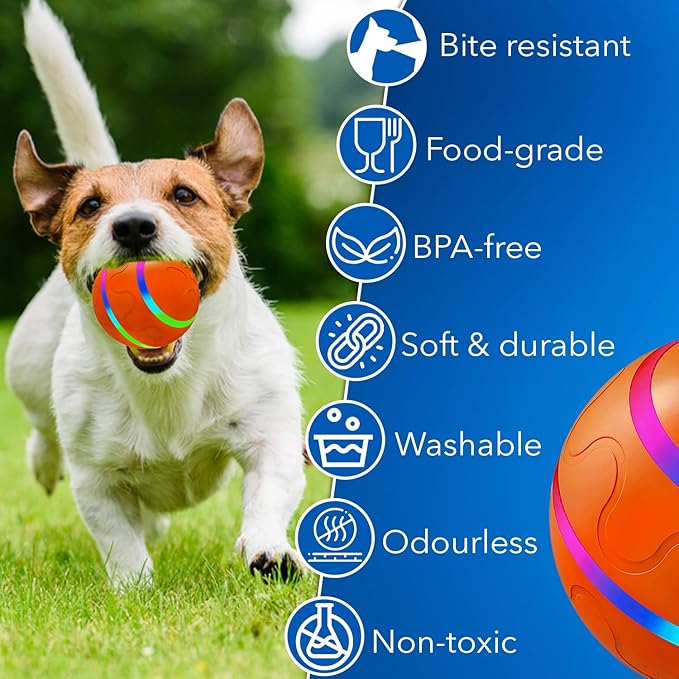 CSD Automatic Dog Ball Toy - USB Rechargeable, Dual Mode, Soft Exterior & PC Interior - for Small Breeds