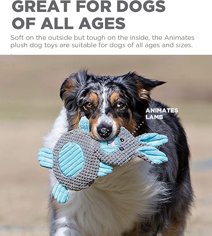 Outward Hound by Charming Pet Animates Lamb Plush Squeaky Dog Toy