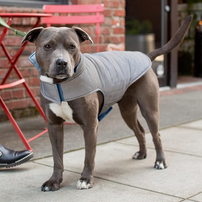 Furhaven Water-Repellent & Reversible Medium Dog Coat, Washable & Reflective w/ Leash Access, Pocket, & Carry-On Purse - Puffer Dog Jacket - Blue Watercolor, Medium