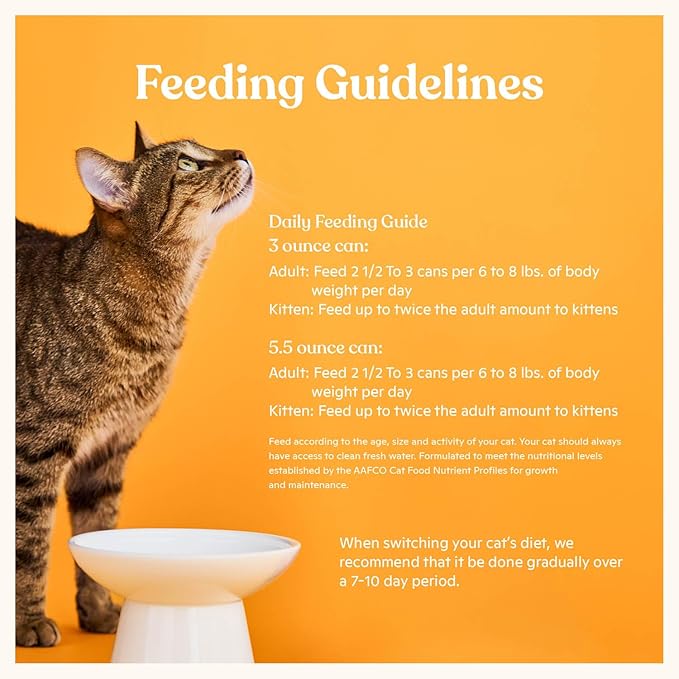 Made by Nacho Premium Wet Cat Food Grain-Free Pate Cans (Salmon & Sole - 24 Pack, 5.5 Ounce)