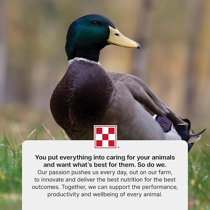 Purina Duck Feed for All Life-Stages, Nutritionally Complete (10 lbs)